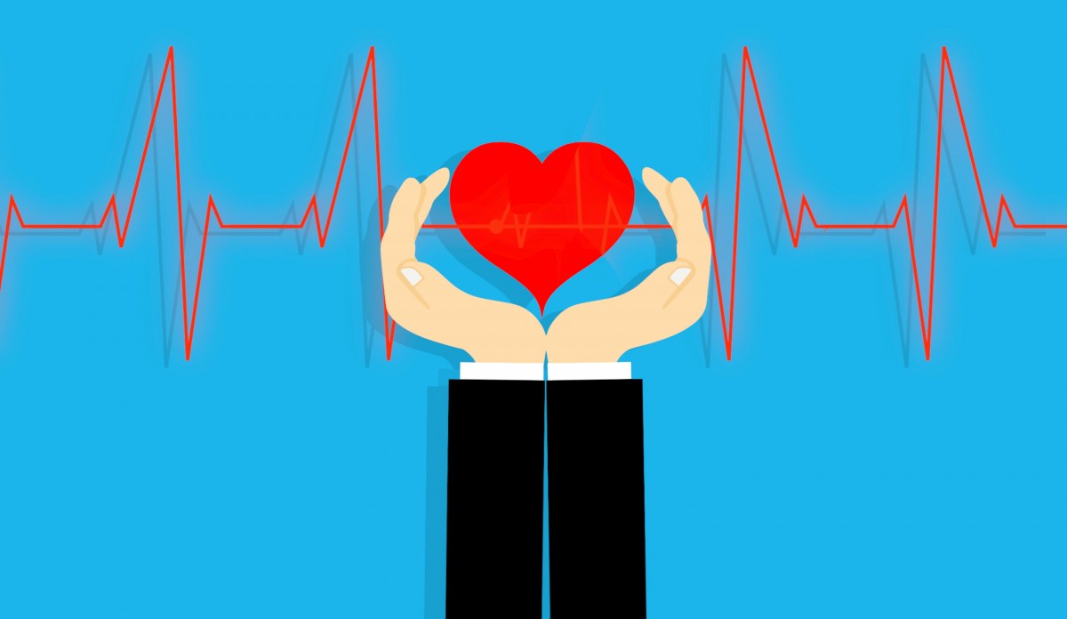 Free Images : insurance, life, protect, help, secure, care, figure ... Health insurance
