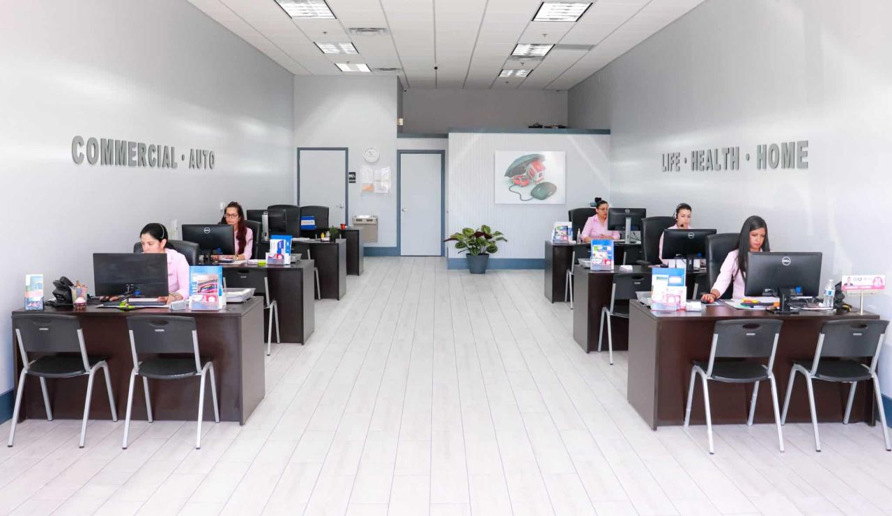 Seguro univista